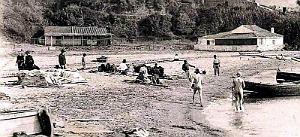 2775- Douaouda-Marine - Plage2 - 1907